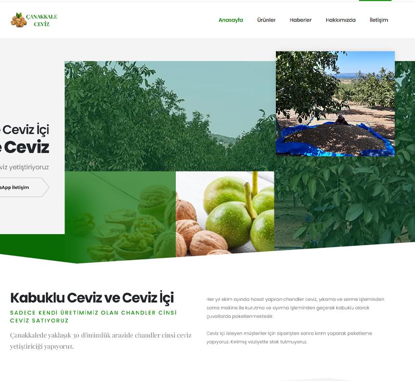 ceviz.us