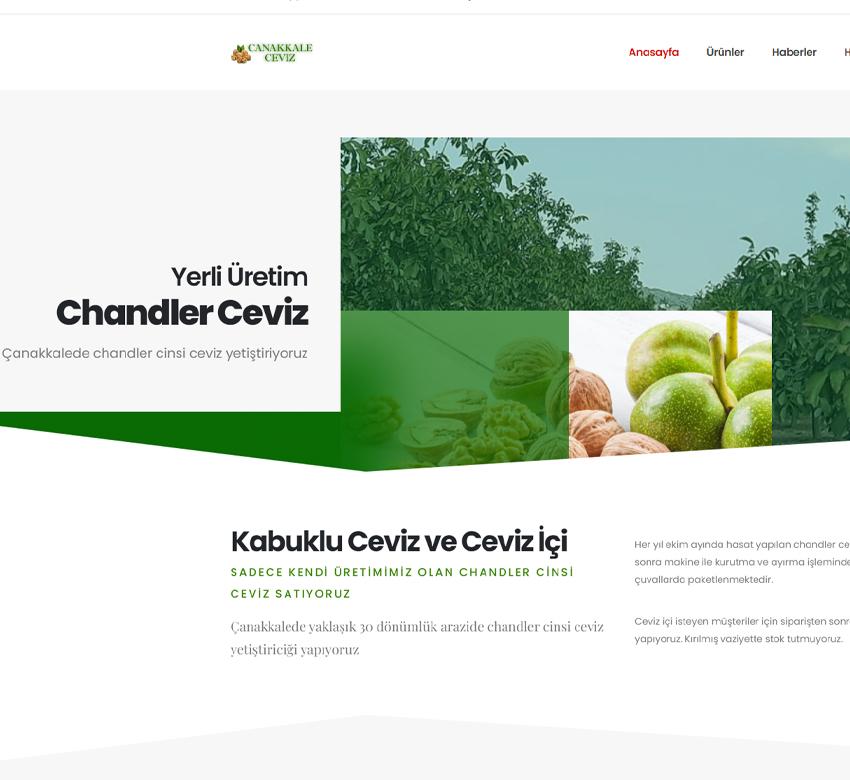 yerliceviz.com.tr